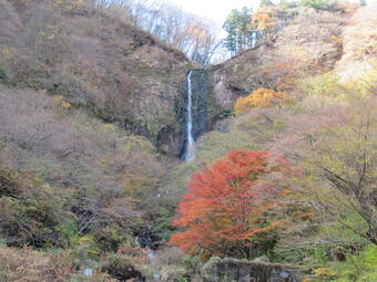 20251114_船尾滝_紅葉.JPG